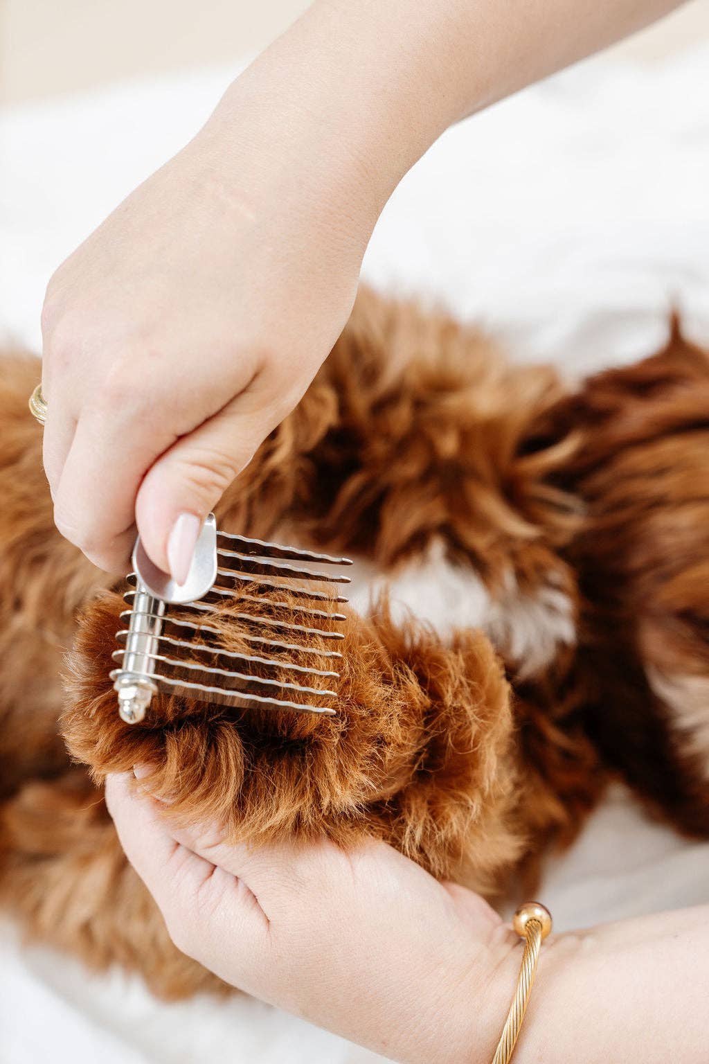 Pupwell The Detangler