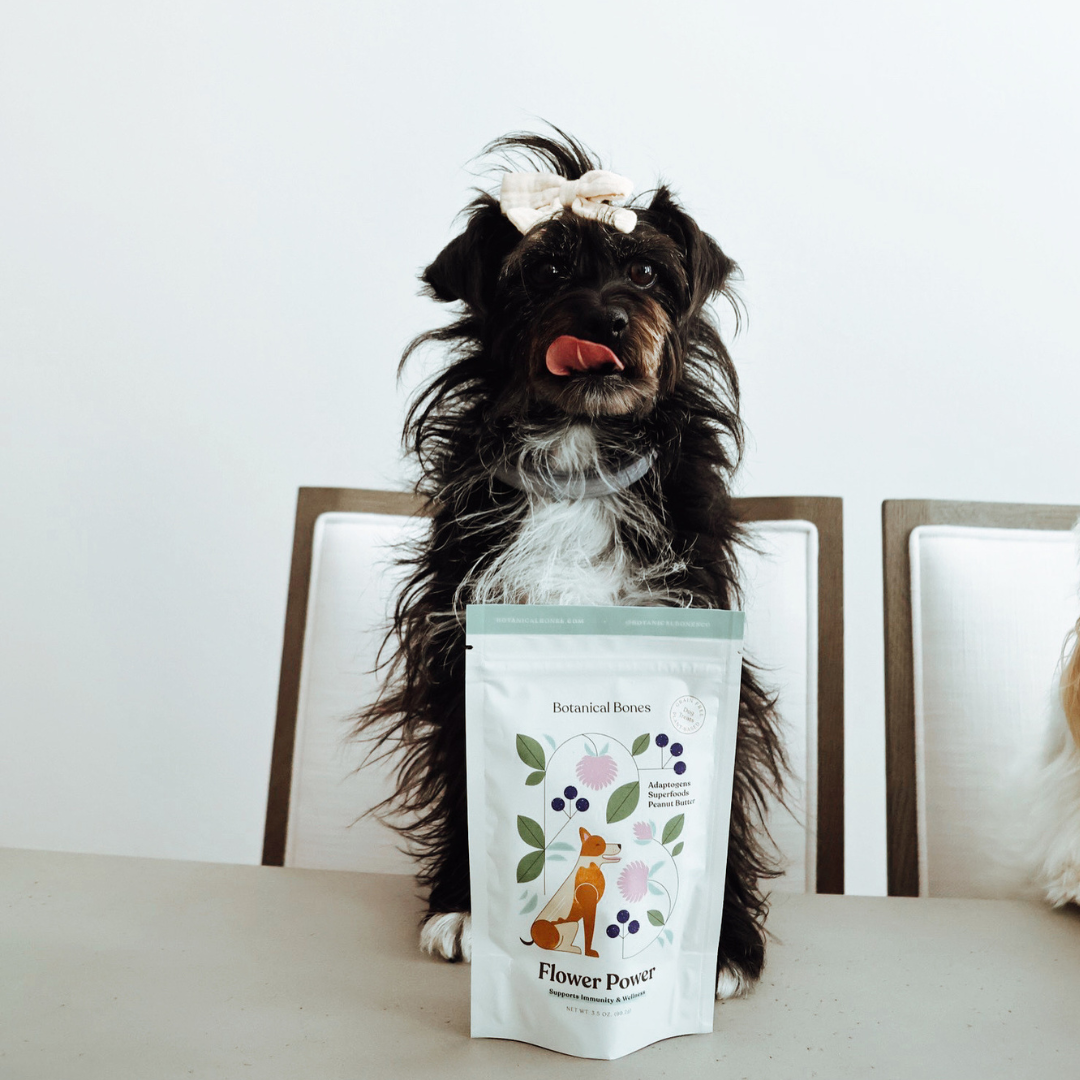 Botanical Bones | Flower Power Cookies - All Natural, Organic Dog Treats