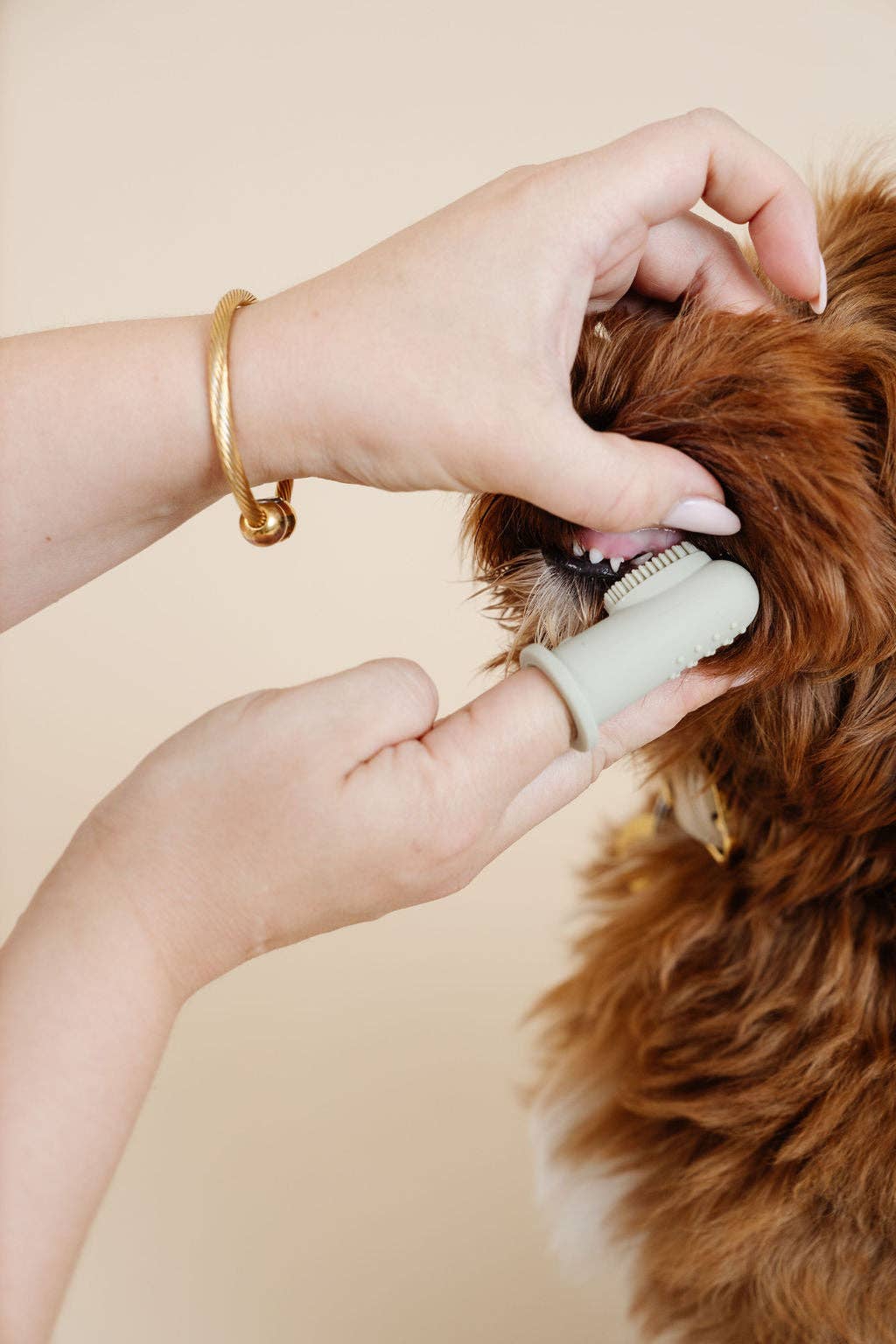 Pupwell Puppy Breath Toothbrush