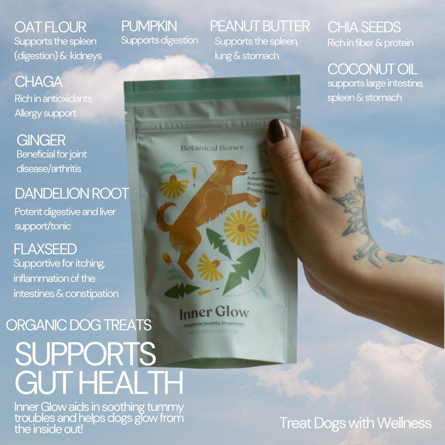 Botanical Bones | Inner Glow Cookies - All Natural, Organic Dog Treats
