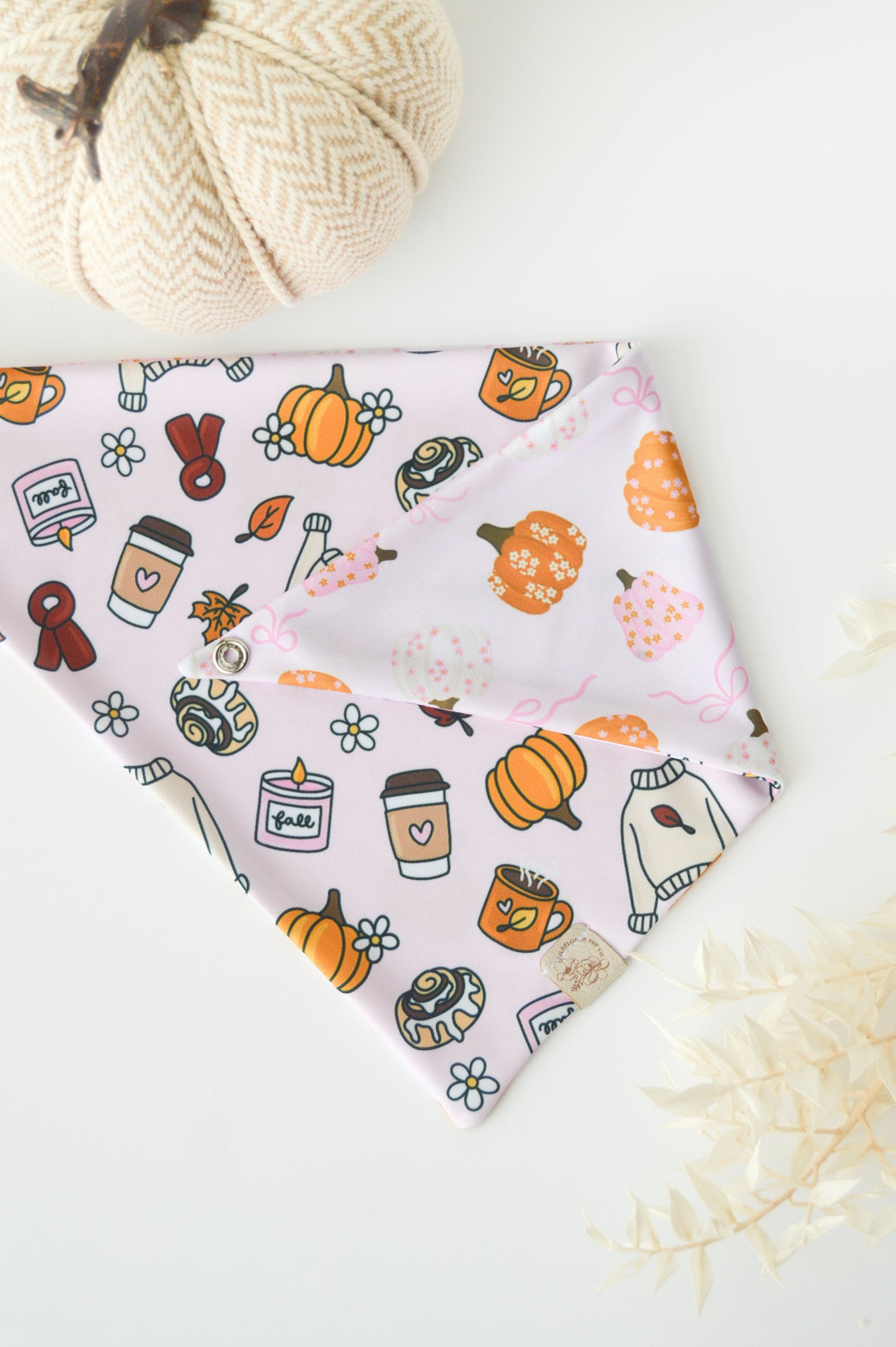 Pink & Pumpkin