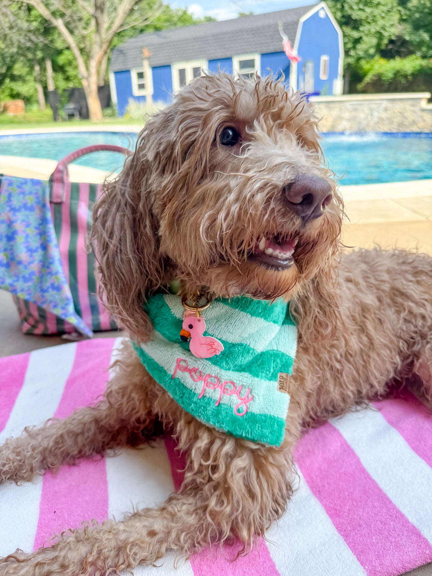 Cabana Towel