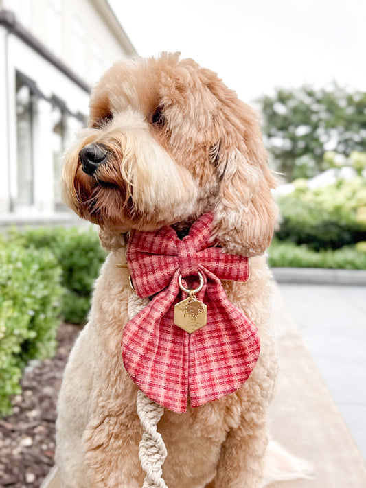 Orchard Sailor Bow & Bow Tie