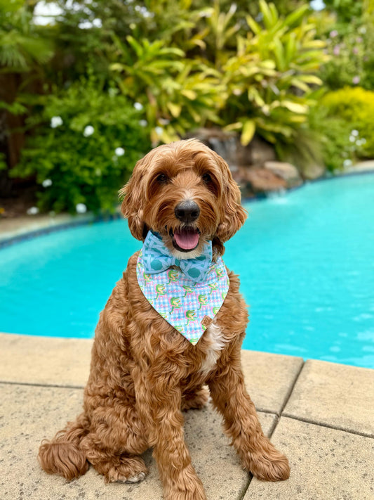 Coastal Rattan Sailor Bow & Bow Tie