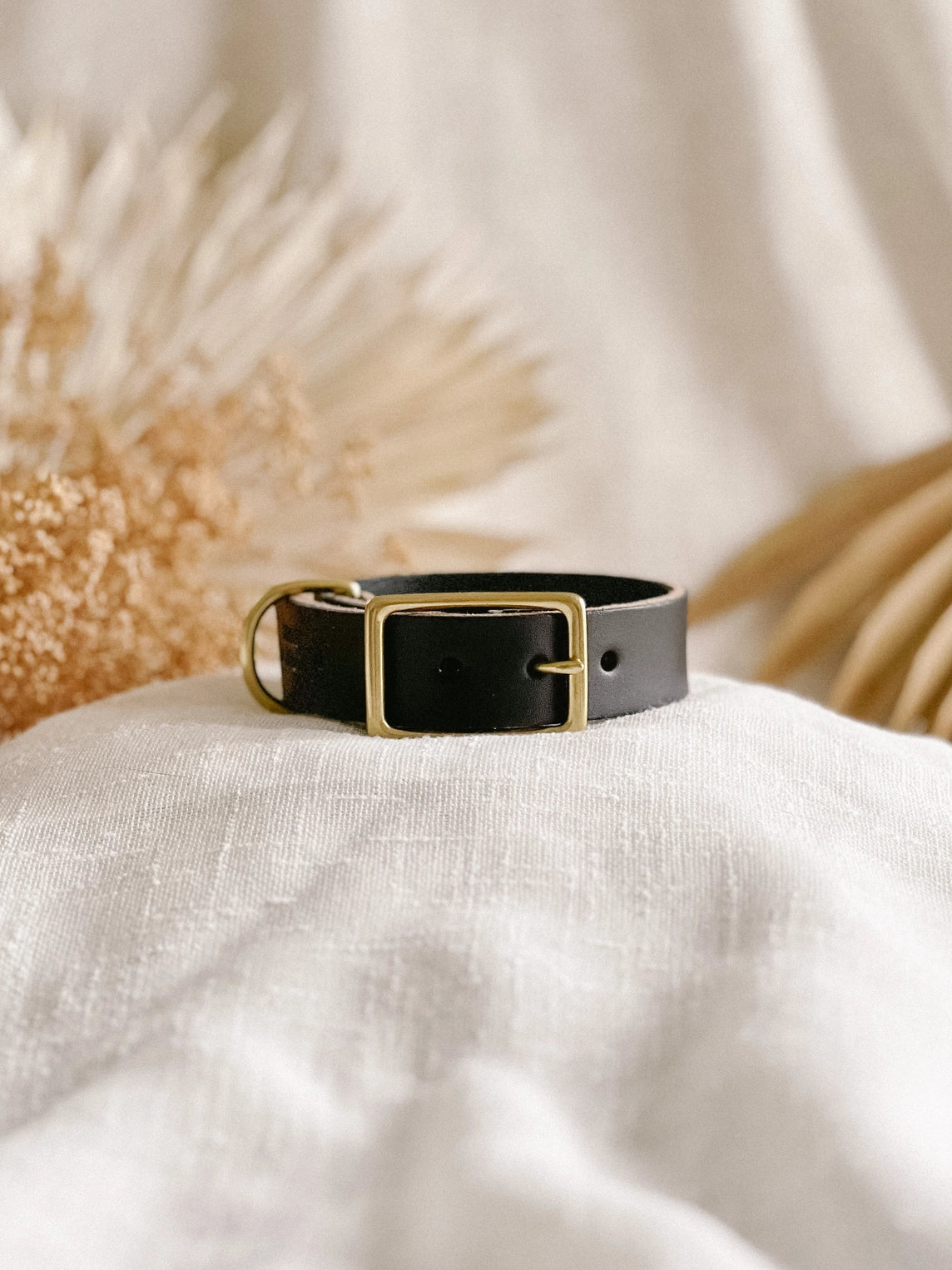 Ember & Ivory- Black WIDE Collar - Medium