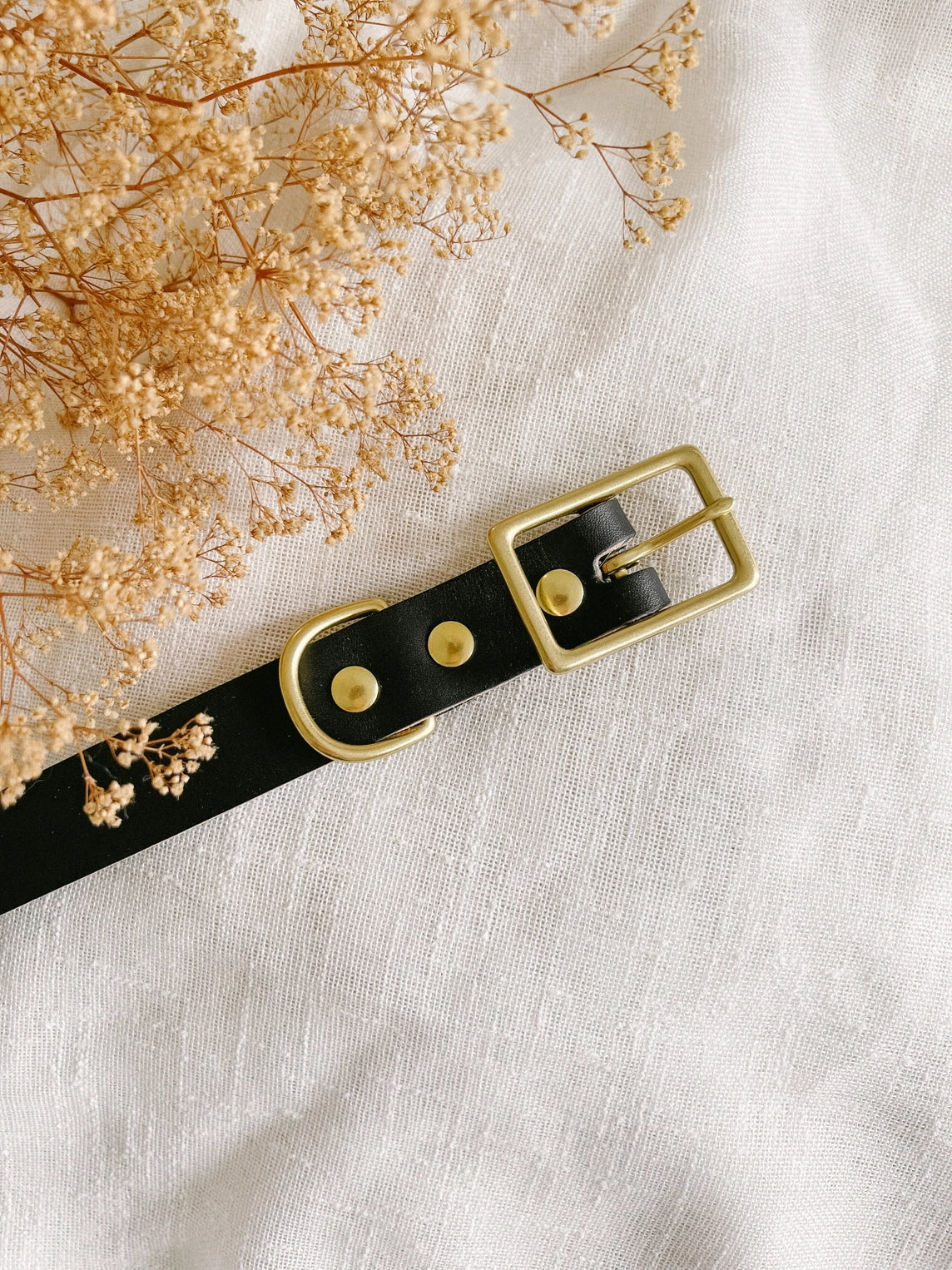 Ember & Ivory- Black WIDE Collar - Medium