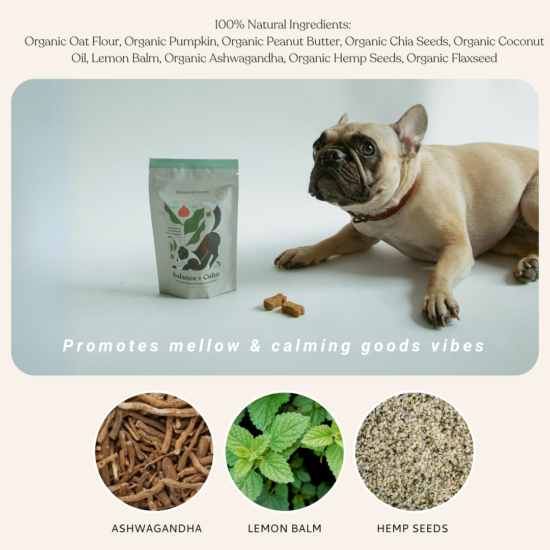 Botanical Bones | Balance + Calm Cookies - All Natural, Organic Dog Treats