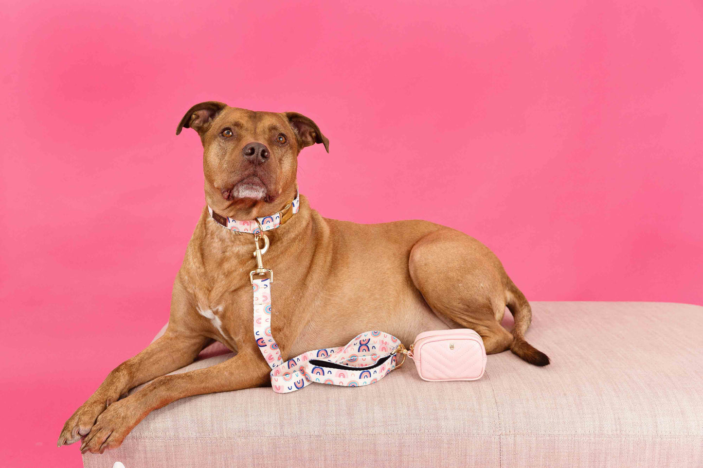 Pink Papyrus Kylie Poop Bag Dispenser | Waste Bag Dispenser