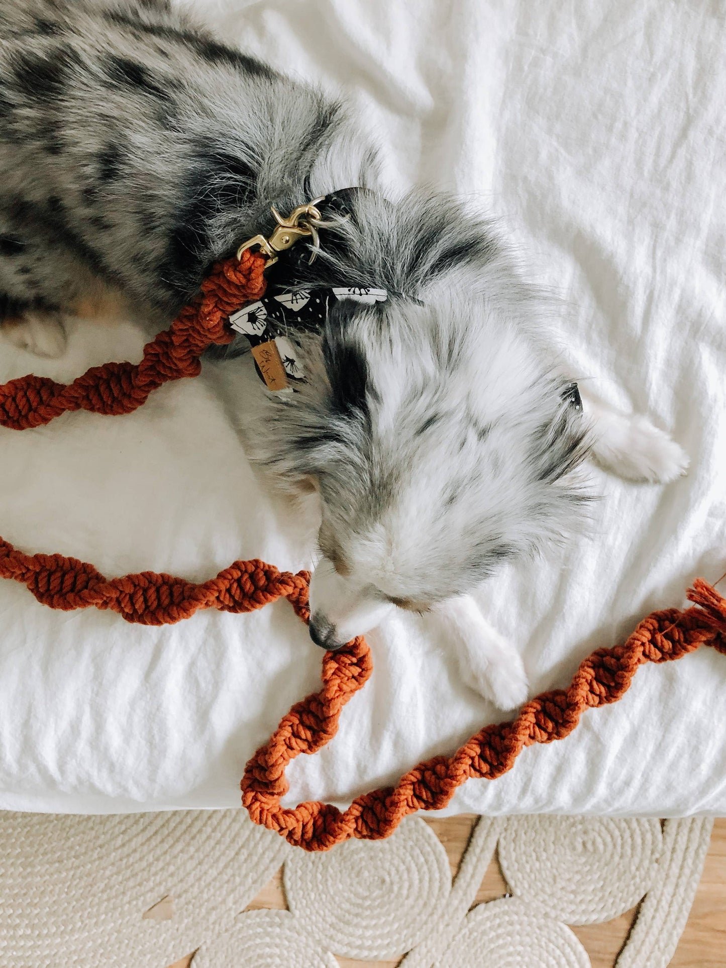 Ember & Ivory- Rust Macrame Dog Leash w/ Caramel Leather Handle --5 ft