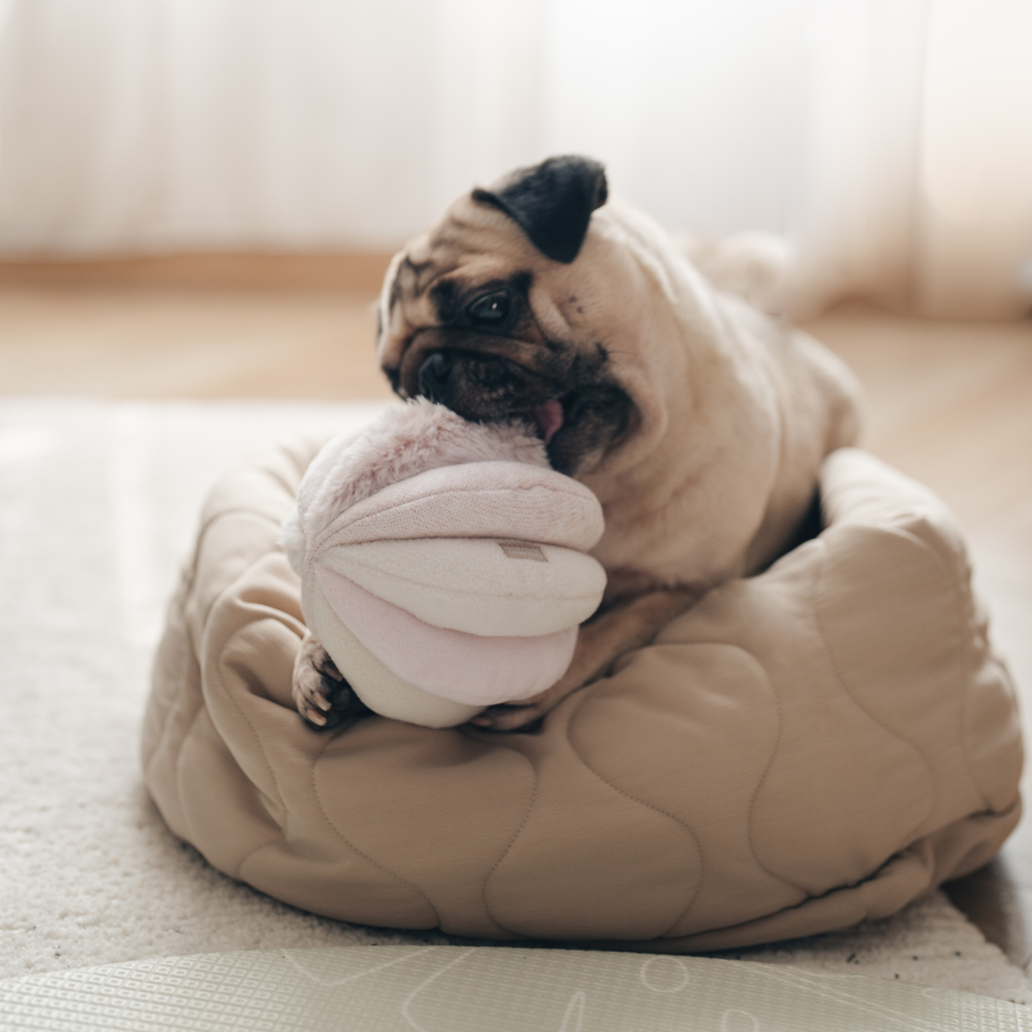 Lambwolf Toto Enrichment Toy