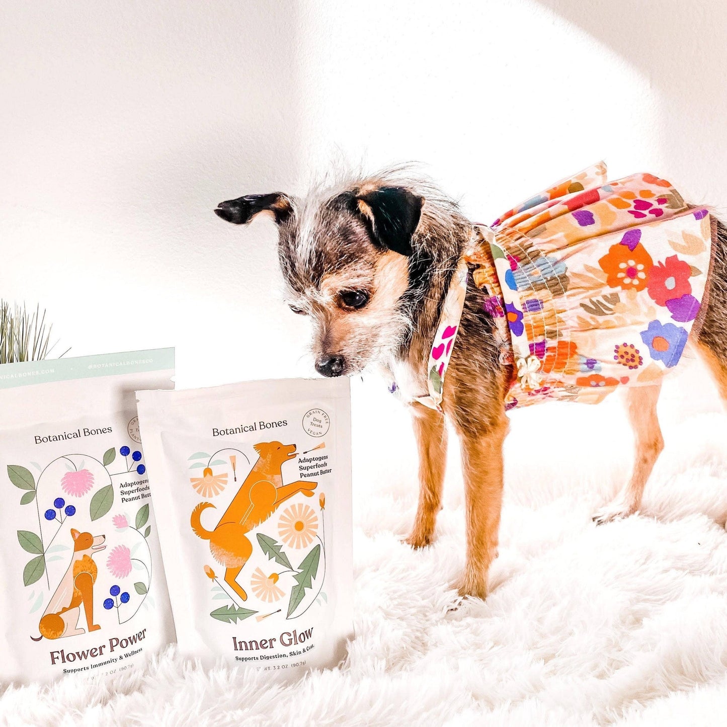Botanical Bones | Inner Glow Cookies - All Natural, Organic Dog Treats
