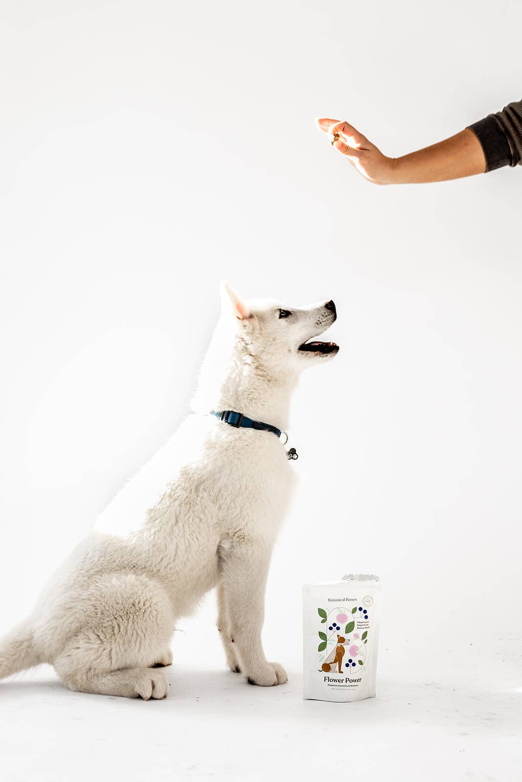 Botanical Bones | Flower Power Cookies - All Natural, Organic Dog Treats