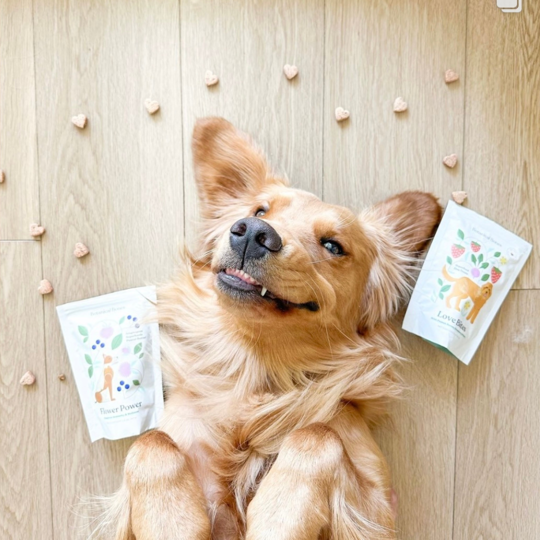 Botanical Bones | Love Bites-Organic Dog Treats