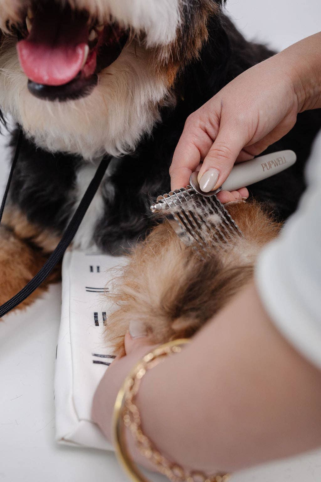 Pupwell The Detangler