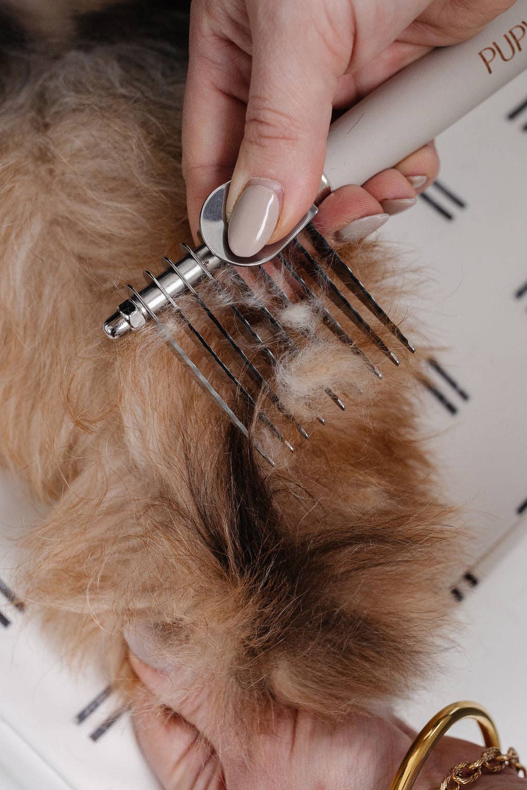 Pupwell The Detangler