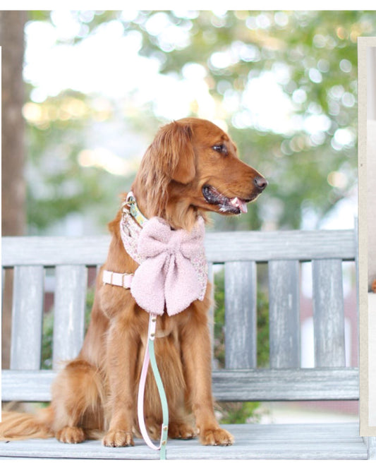 Blush Sherpa Sailor & Bow Tie