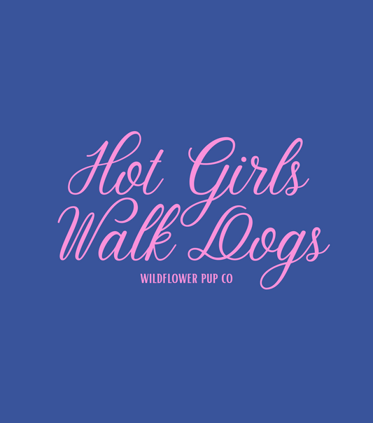 Hot Girls Walk Dogs | Comfort Colors T-Shirt (Blue with Pink Script)