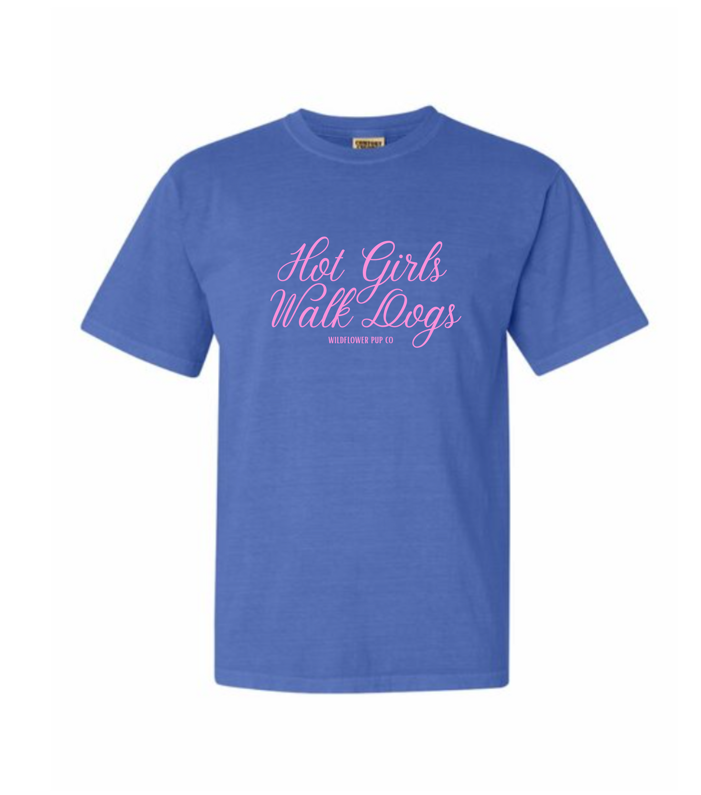 Hot Girls Walk Dogs | Comfort Colors T-Shirt (Blue with Pink Script)