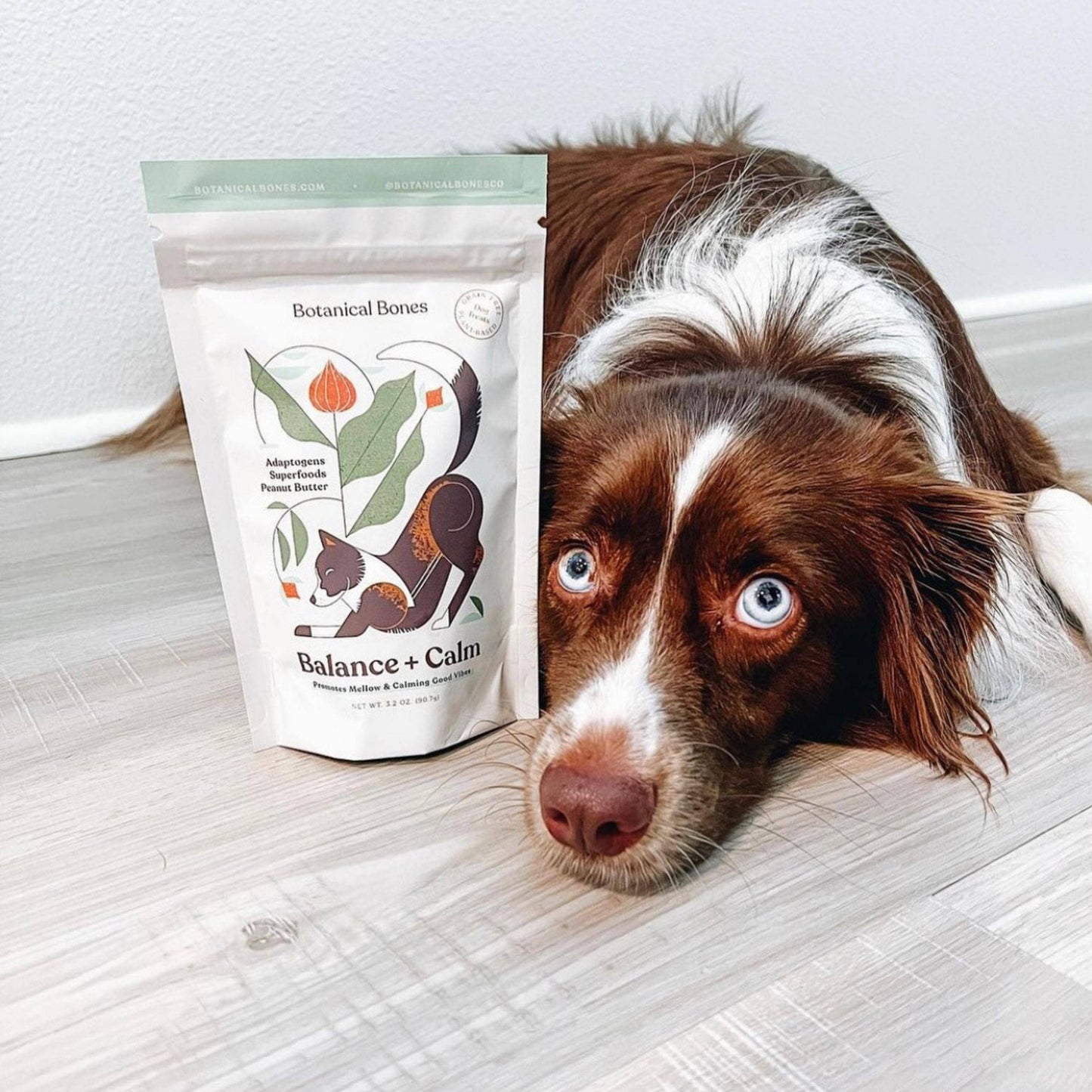 Botanical Bones | Balance + Calm Cookies - All Natural, Organic Dog Treats