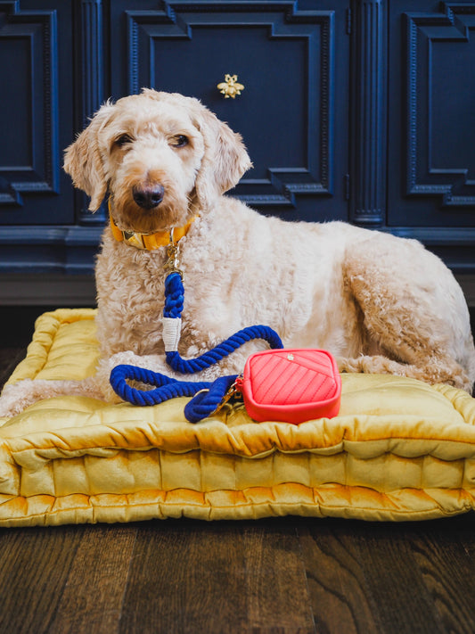 Pink Papyrus Kai Poop Bag Dispenser | Waste Bag Dispenser