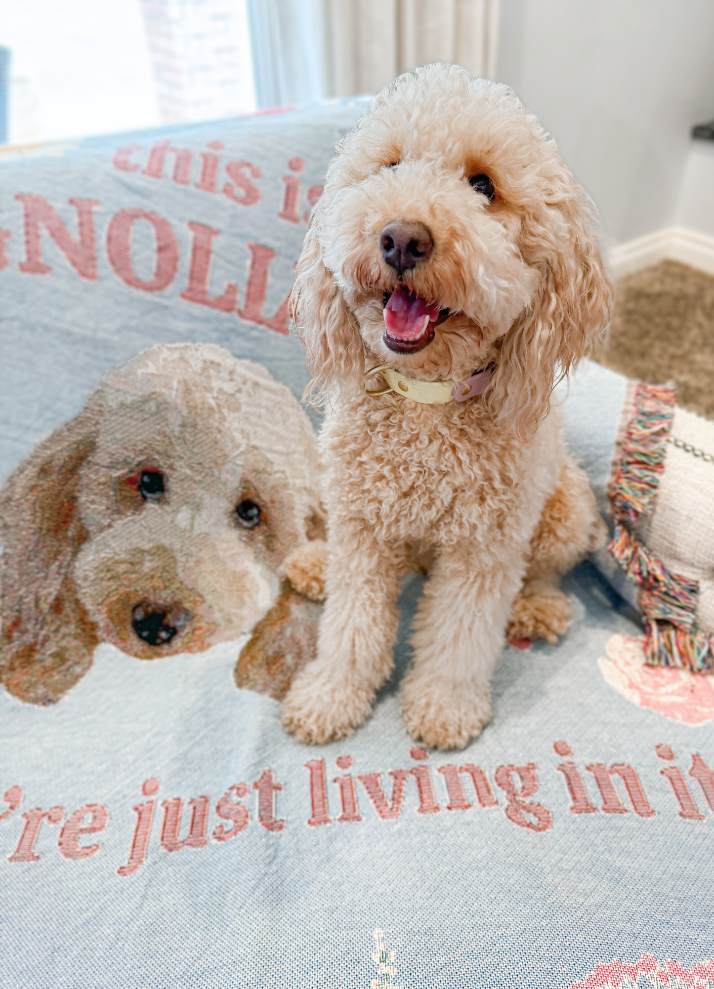 Custom Woven Blanket