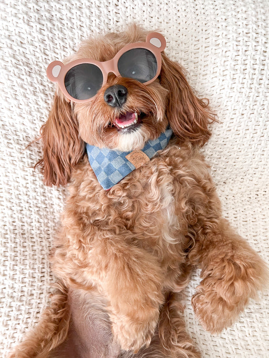 Special Edition Sunnies