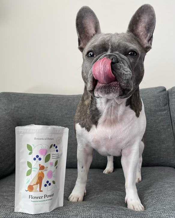 Botanical Bones | Flower Power Cookies - All Natural, Organic Dog Treats
