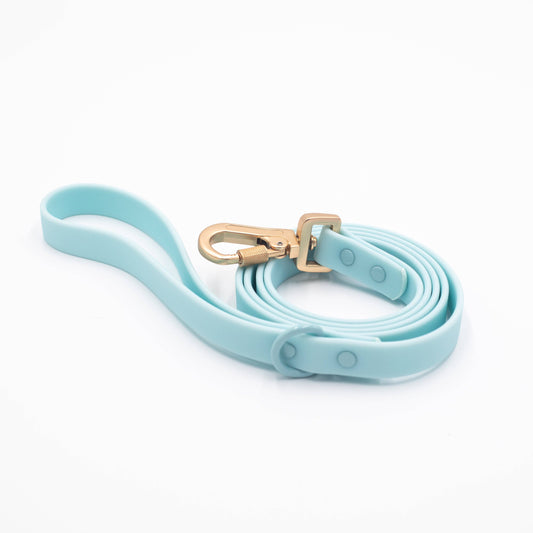 Ollie XO Waterproof Leash with Gold Lockable Clasp