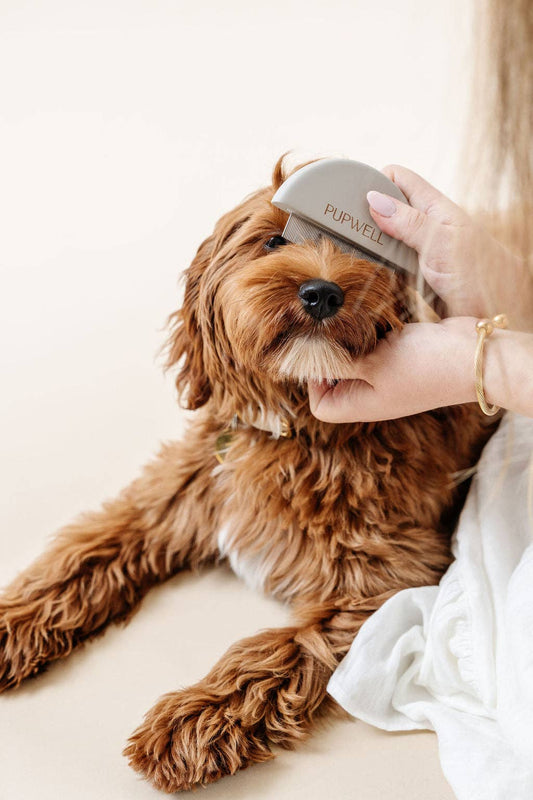 Pupwell Detailer Comb