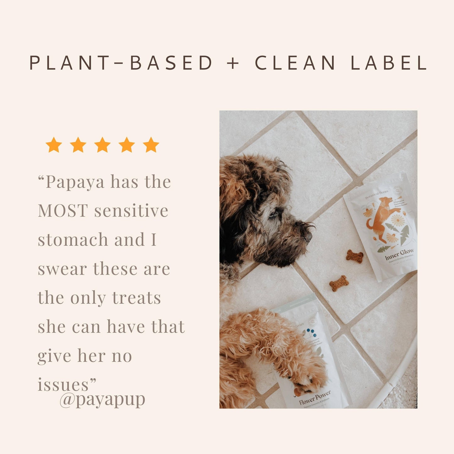 Botanical Bones | Flower Power Cookies - All Natural, Organic Dog Treats