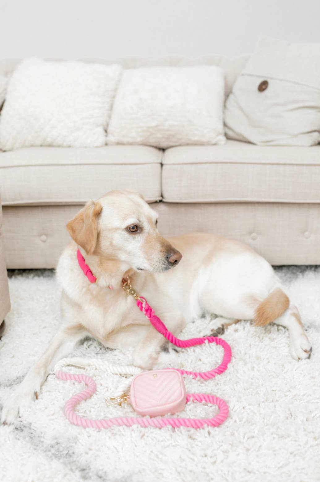 Pink Papyrus Kylie Poop Bag Dispenser | Waste Bag Dispenser