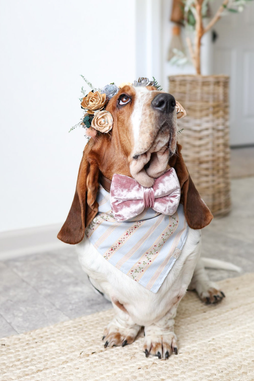 Endless Love Sailor Bow & Bow Tie