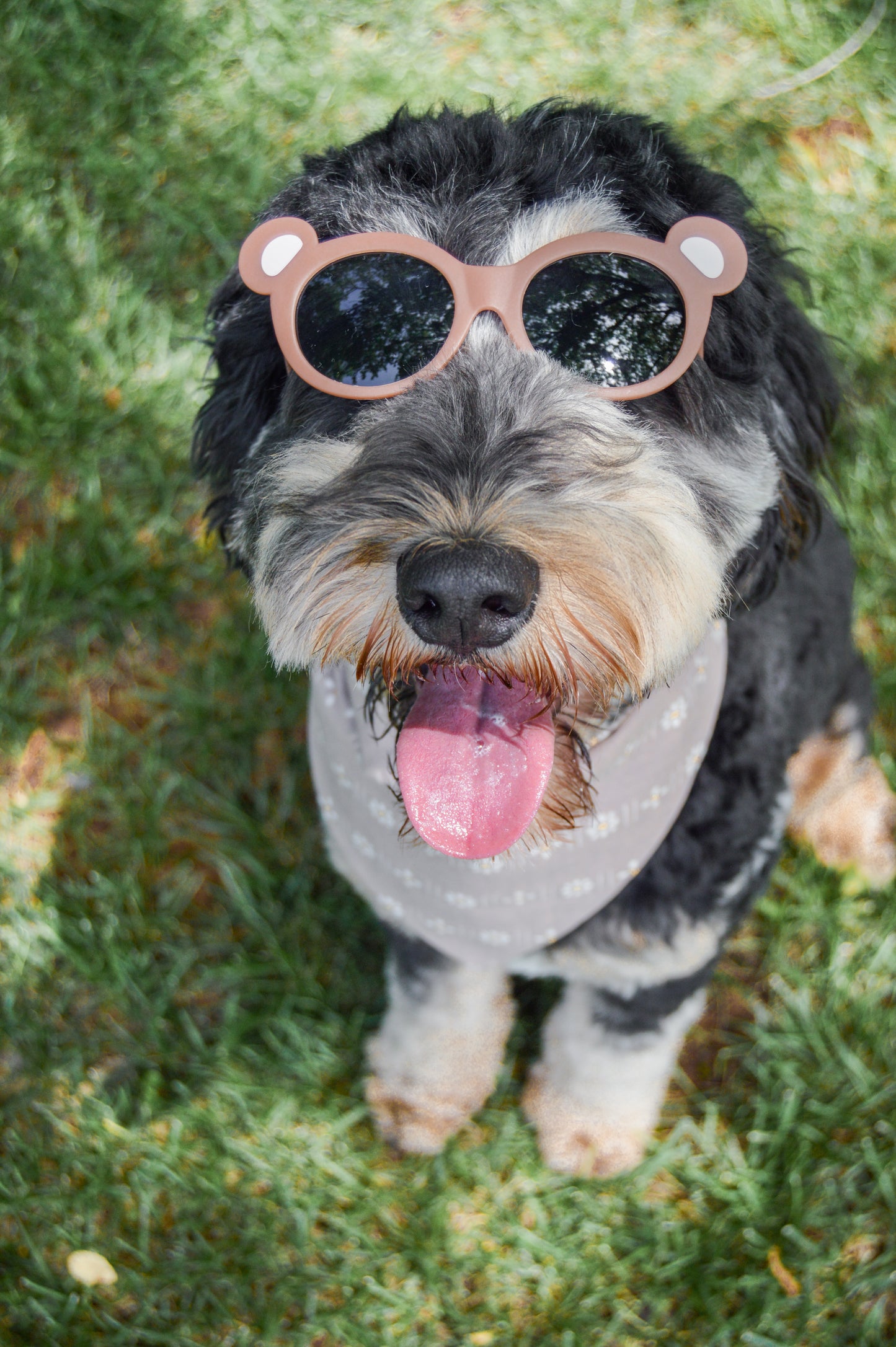 Special Edition Sunnies