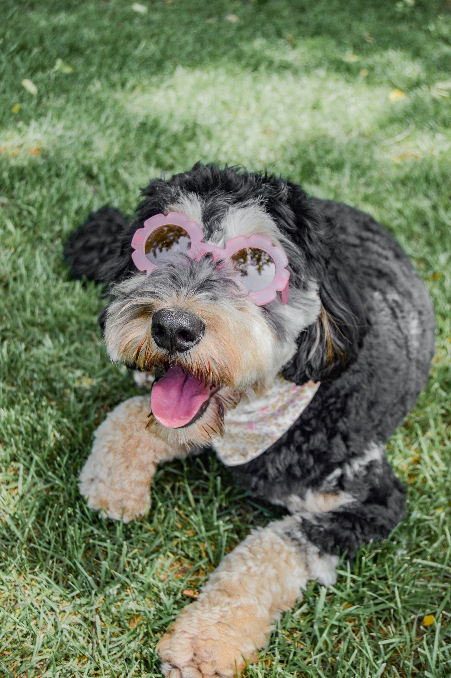 Lil Petal Sunnies