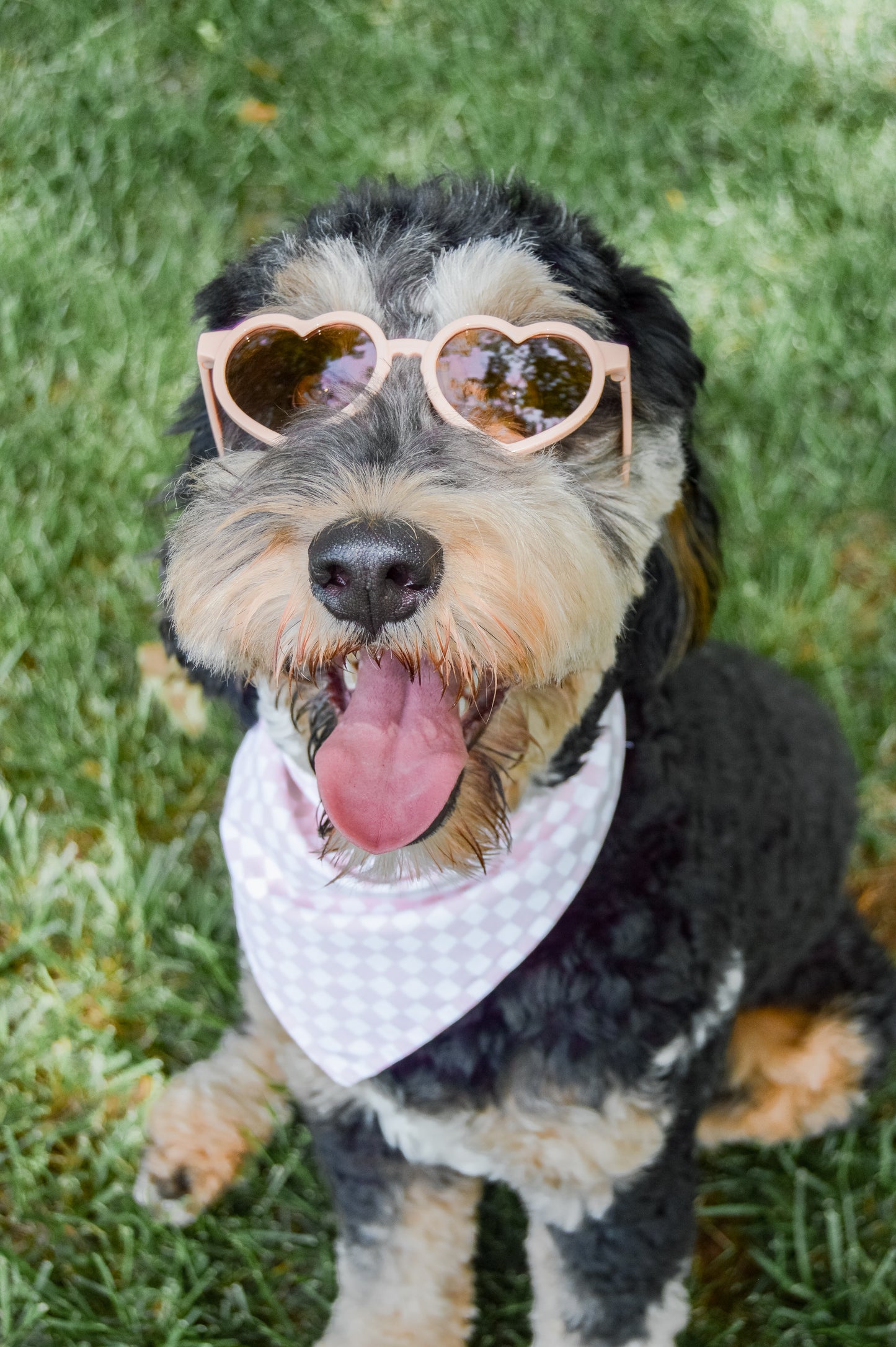 Lover Sunnies