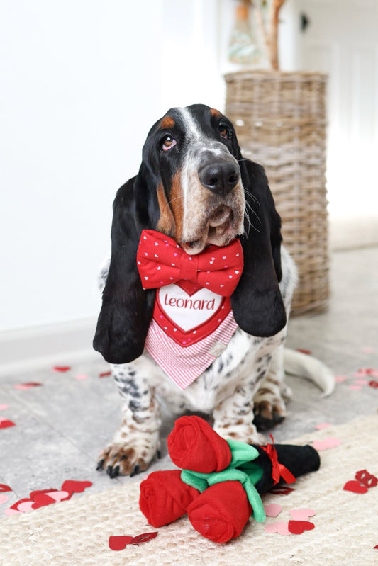 Heartbreaker Bow Tie