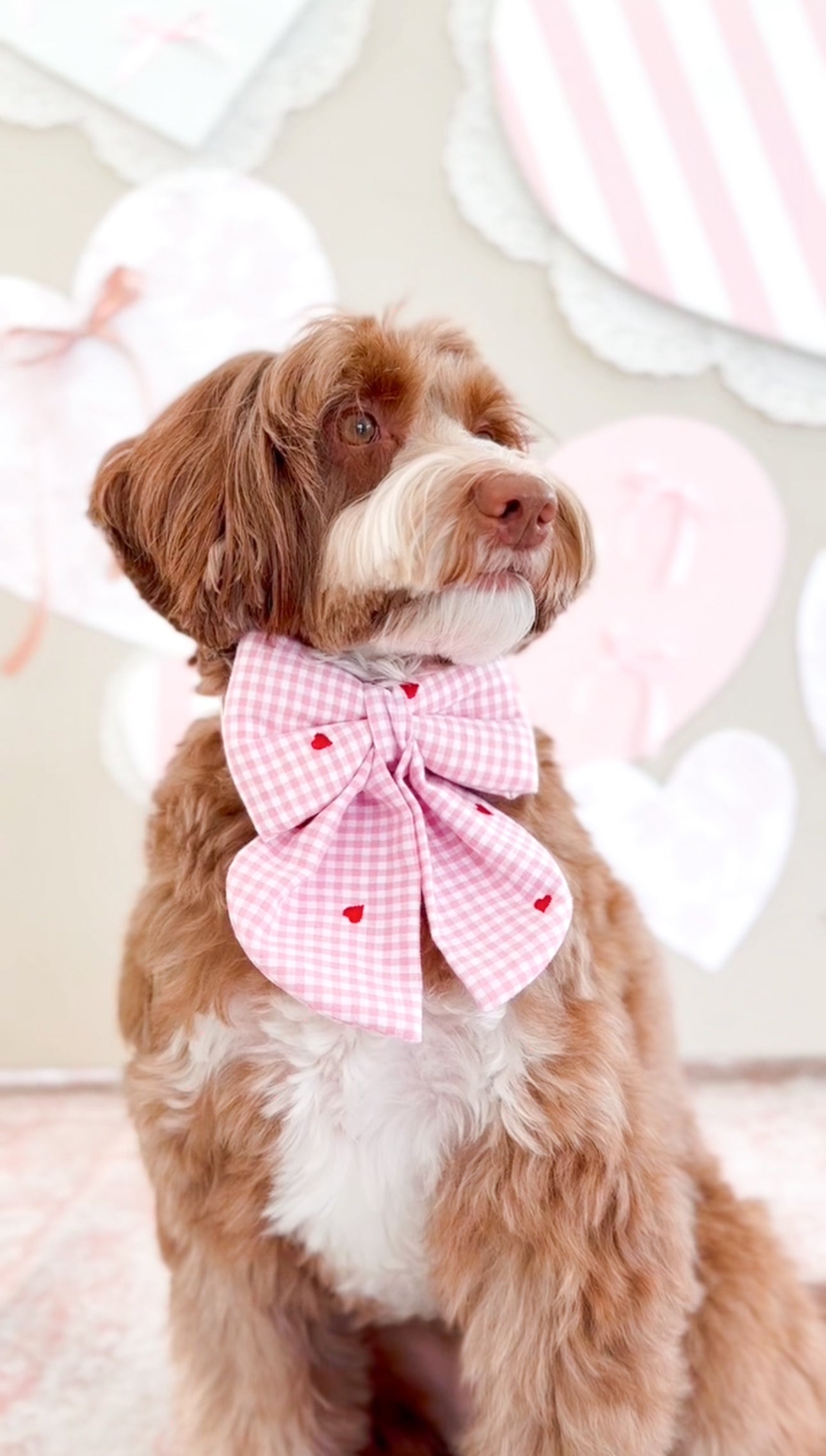 Love Notes Sailor Bow & Bow Tie