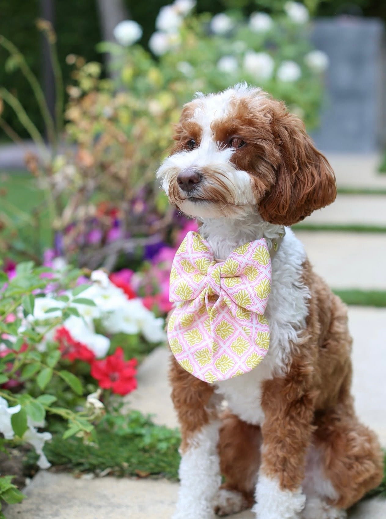 Coral Reef Chartreuse Sailor Bow & Bow Tie