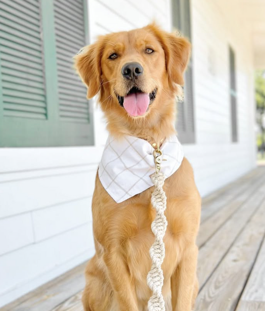 Ember & Ivory- Sand Macrame Dog Leash w/ Caramel Leather Handle--5 ft