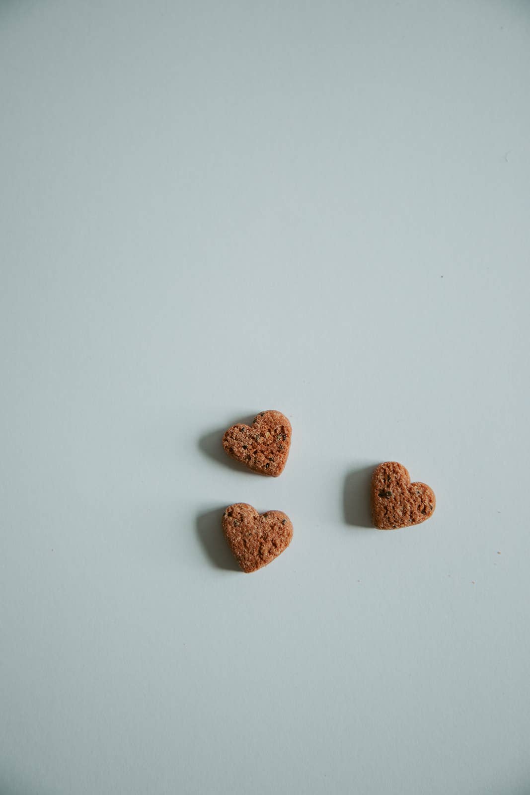 Botanical Bones | Love Bites-Organic Dog Treats