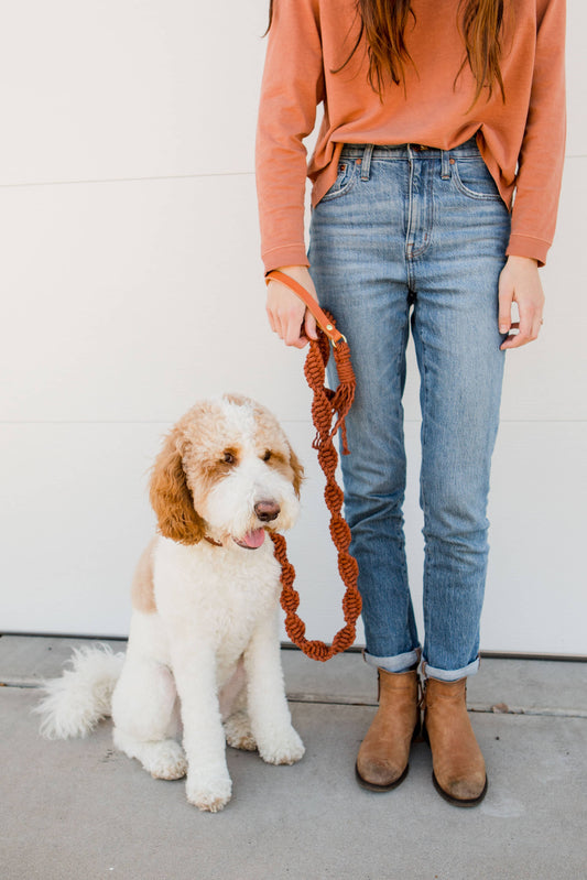 Ember & Ivory- Rust Macrame Dog Leash w/ Caramel Leather Handle --5 ft