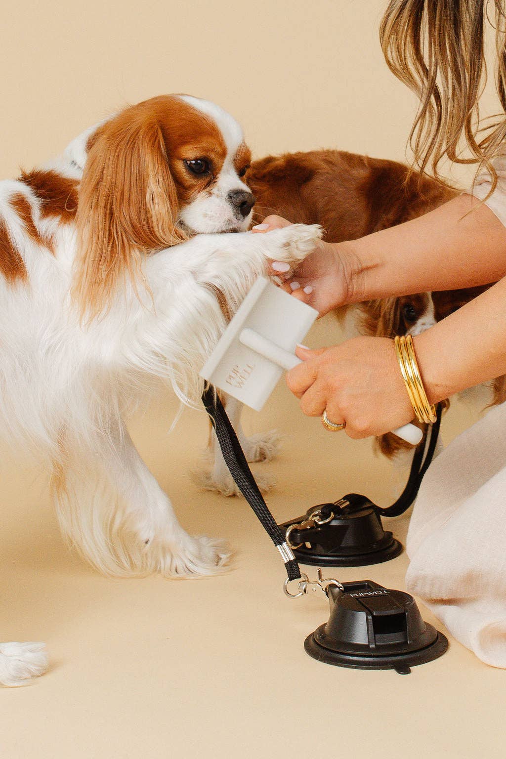 Pupwell Everyday Slicker Brush