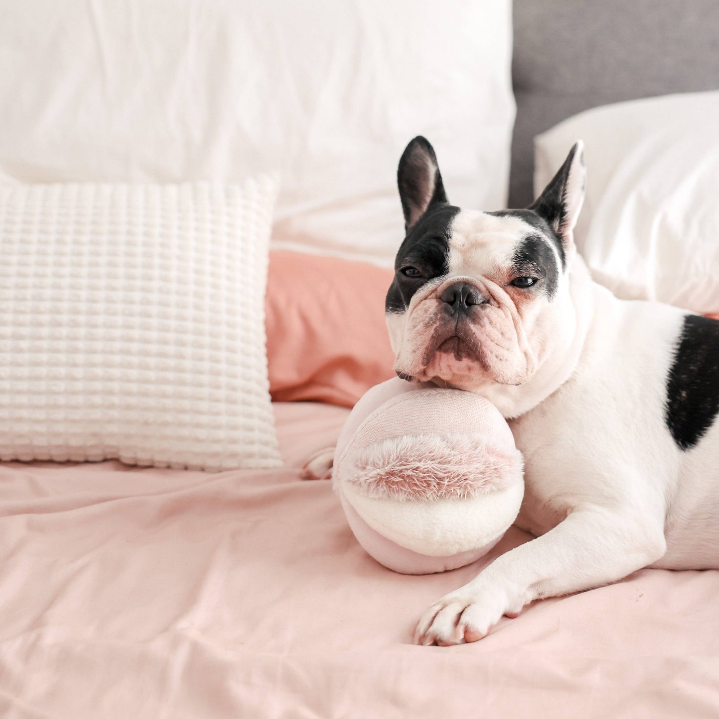 Lambwolf Toto Enrichment Toy