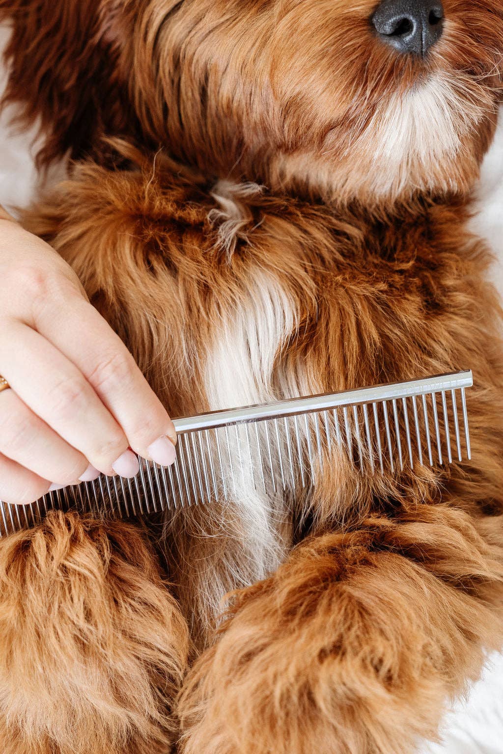 Pupwell Everyday Comb
