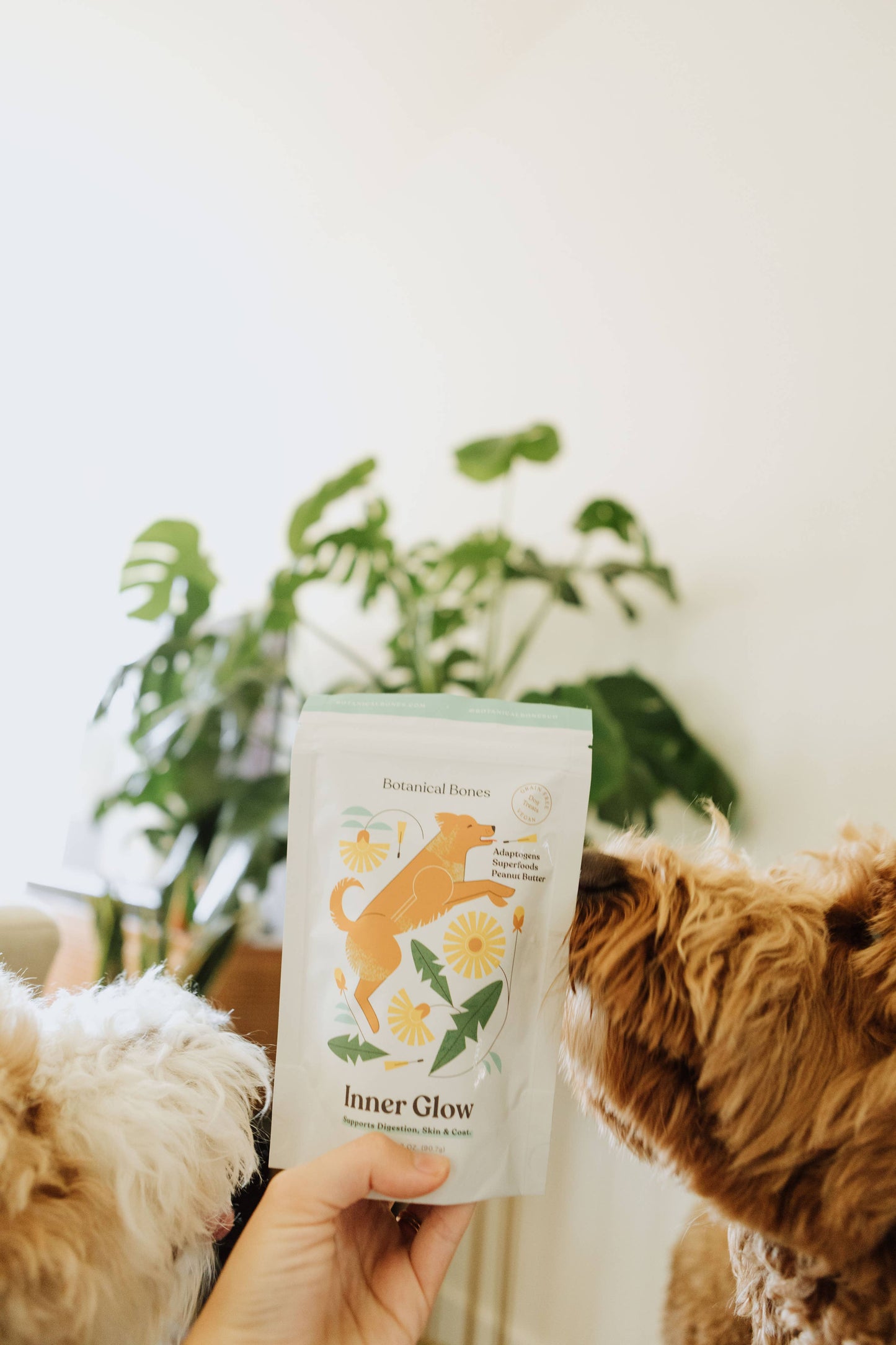 Botanical Bones | Inner Glow Cookies - All Natural, Organic Dog Treats