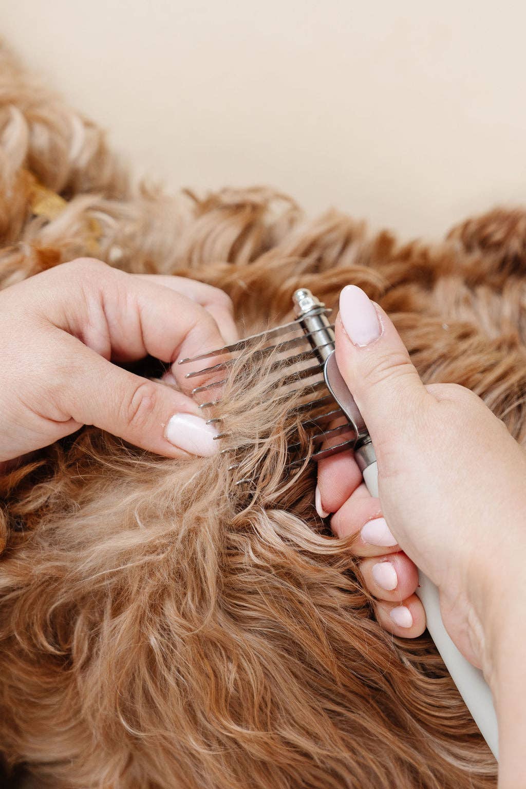 Pupwell The Detangler