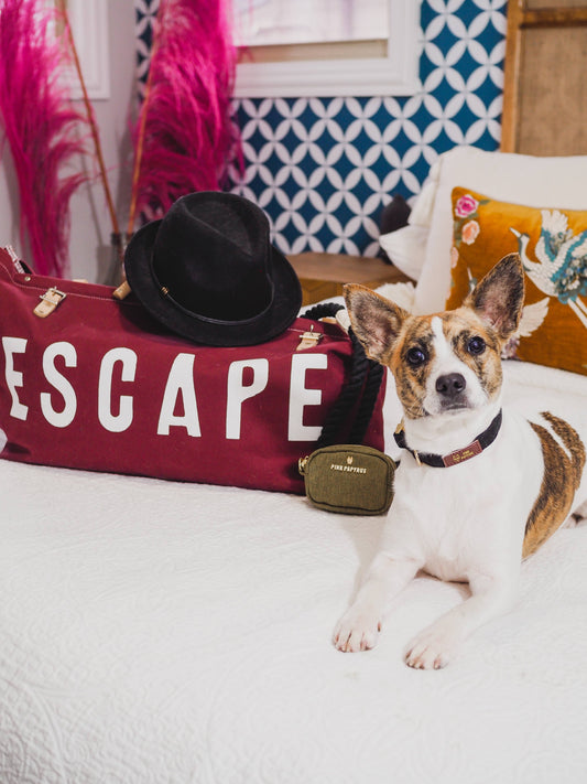 Pink Papyrus Bellamy Poop Bag Dispenser | Waste Bag Dispenser