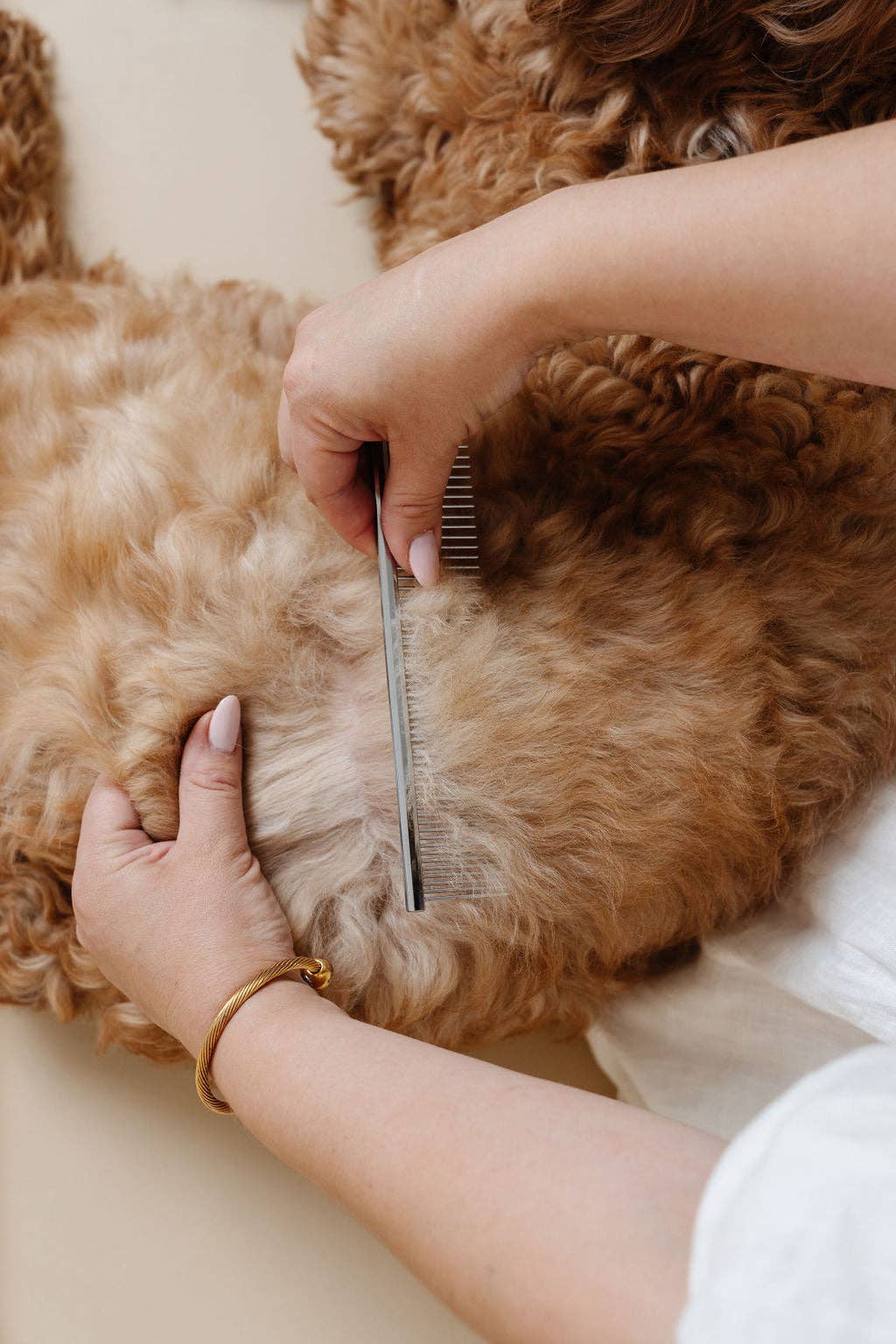 Pupwell Everyday Comb