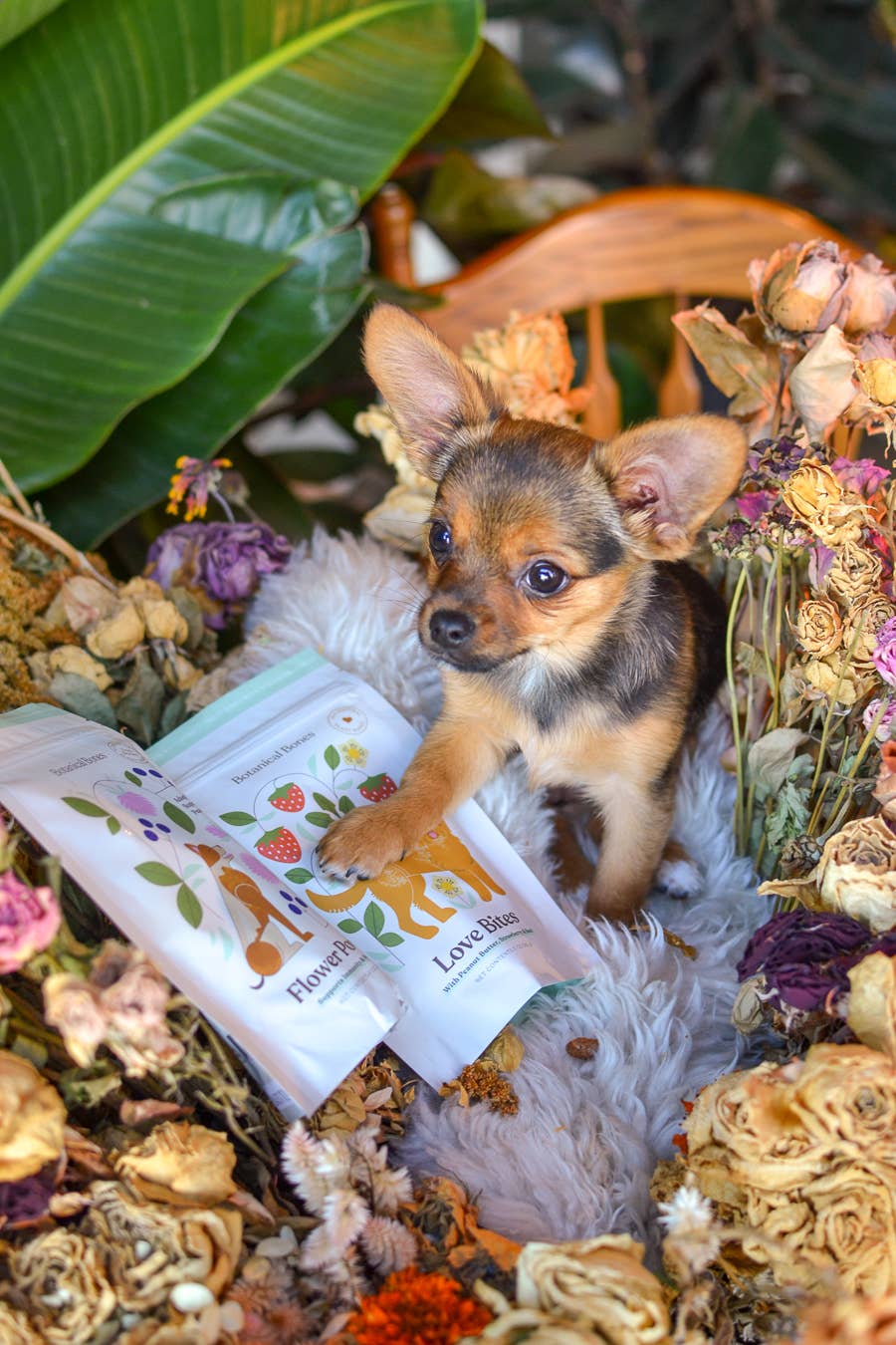 Botanical Bones | Love Bites-Organic Dog Treats