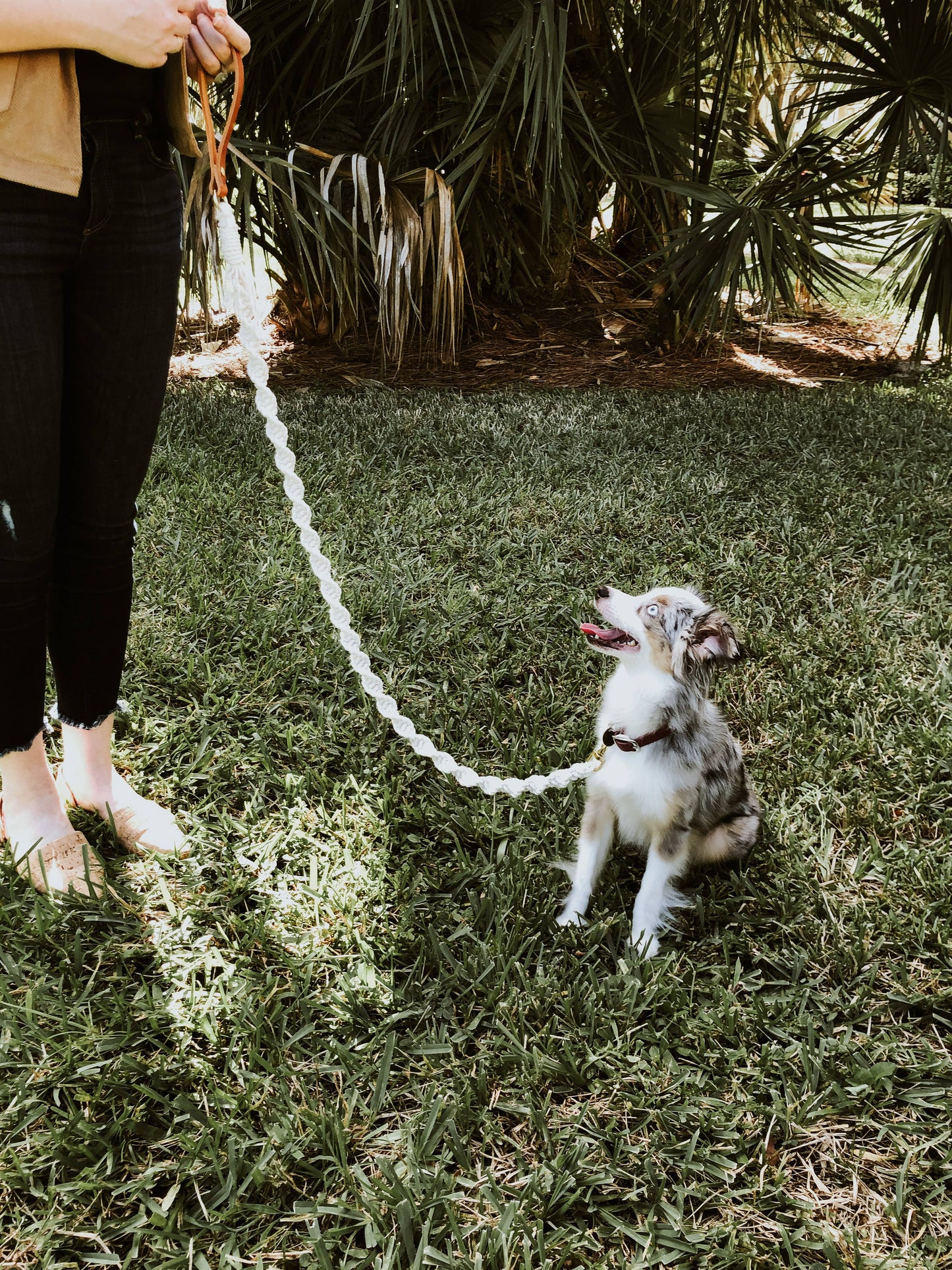 Ember & Ivory- Blush Macrame Dog Leash w/ Natural Leather Handle--5 ft